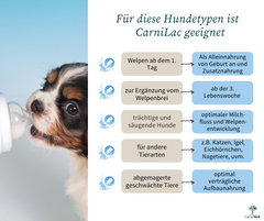 CarniLac Aufzuchtmilch Handaufzucht Carnimed Hund Katze Nagetiere