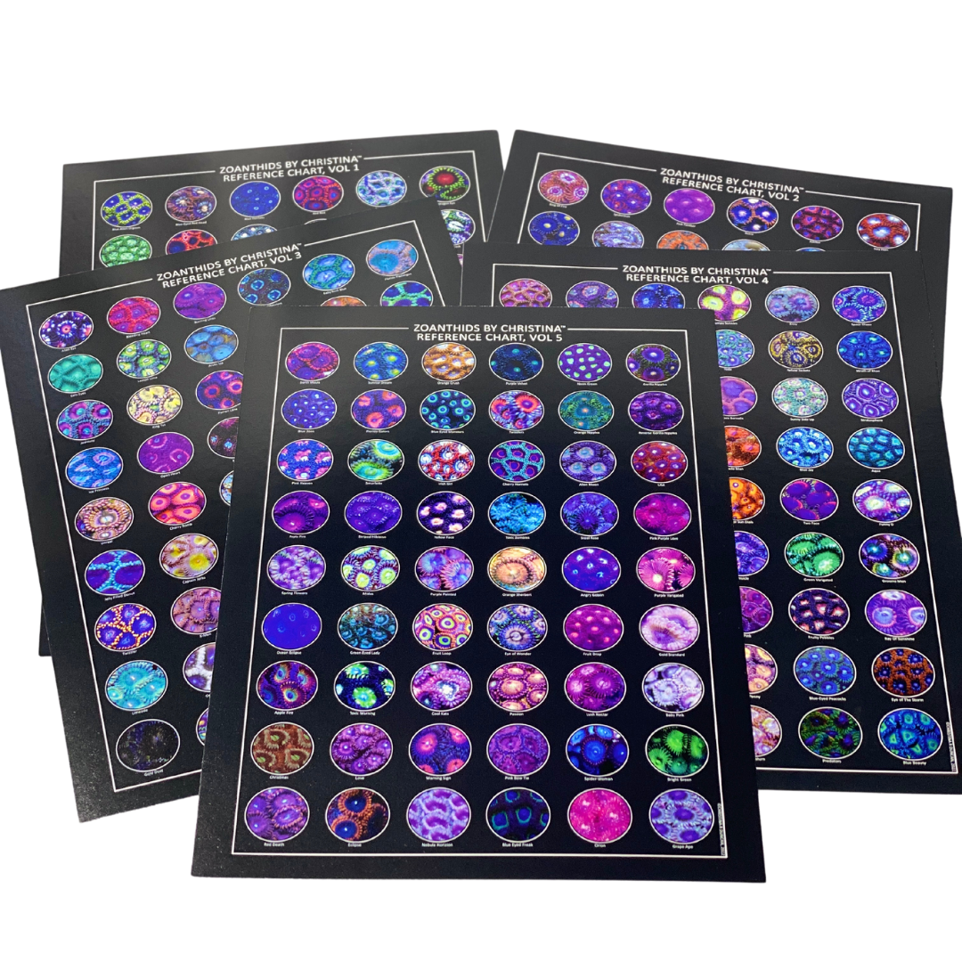 Complete Set of 5 Zoanthids Prints - Cool Reef Inspired Animal Print- Zoanthids by Christina VOL 1-5 - 8.5x11